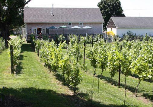 The Langworthy Inn & Winery Вестерлі Екстер'єр фото